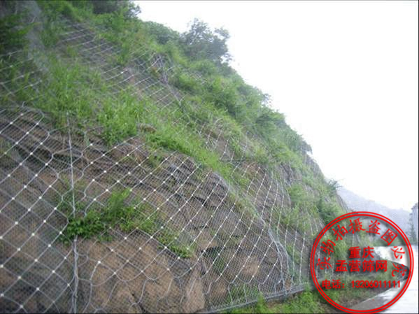 SNS主動防護(hù)網(wǎng)