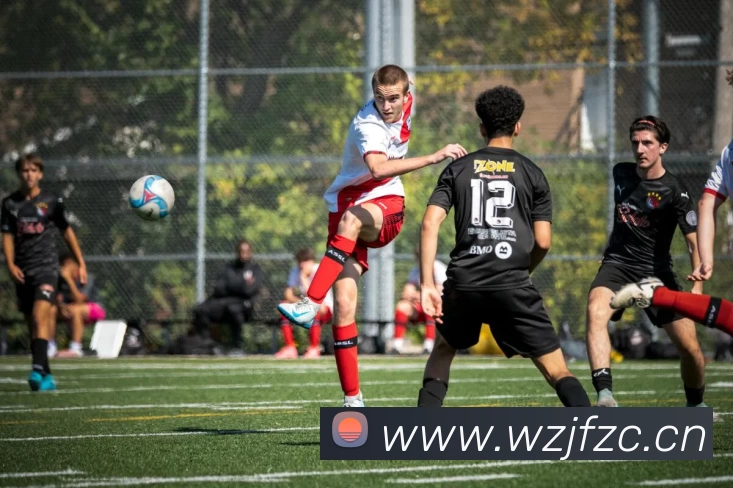 9游官网入口服务体系